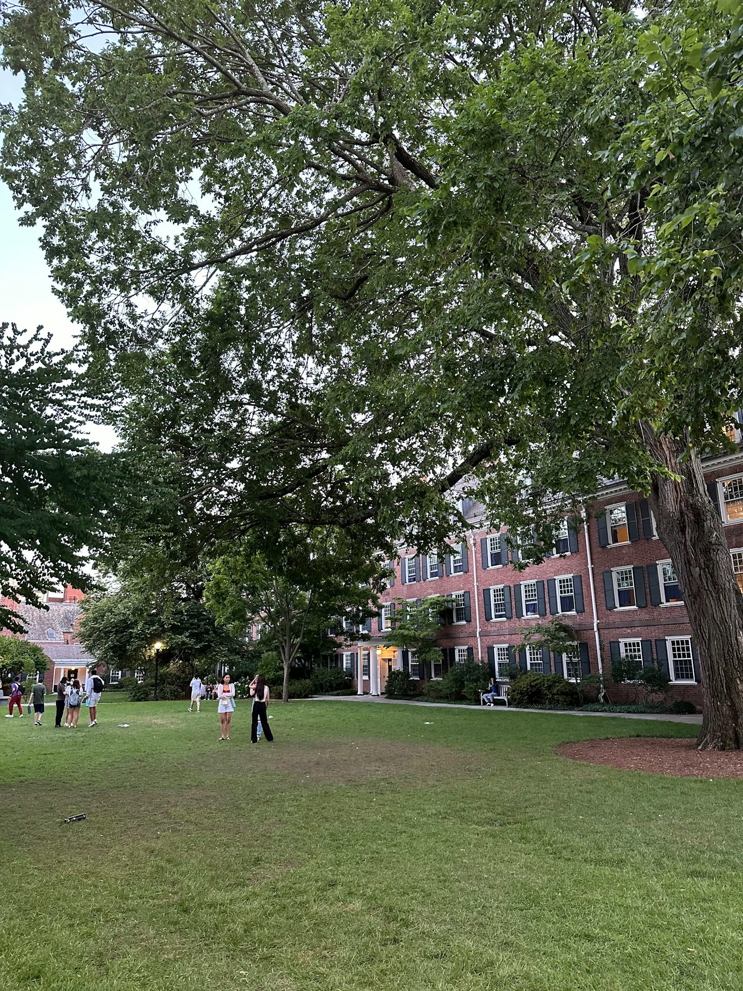 Navigating The Freshman Year At Mercer